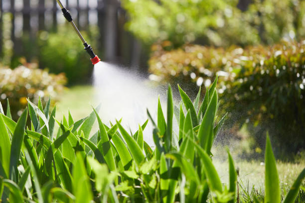 24/7 Emergency Wasp Removal experts in Thomasville, AL