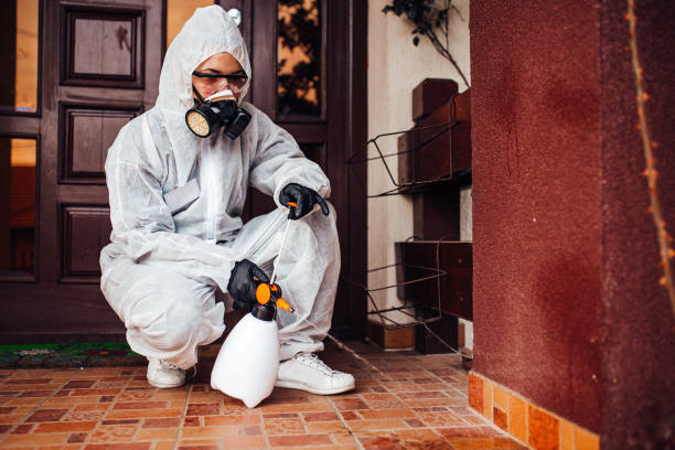 Reliable Wasp Removal contractor in Thomasville, AL by Show Me Pest Control